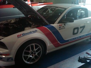 IMG00007-20100402-1710